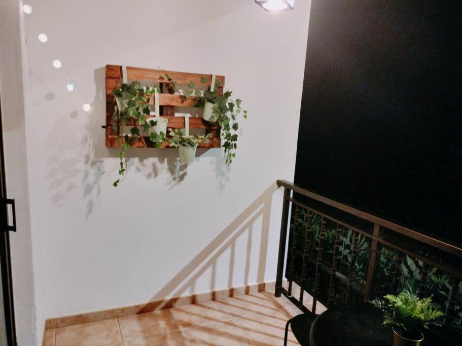 Willa La Casita De Ari Jerez de la Jerez de la Frontera Zewnętrze zdjęcie